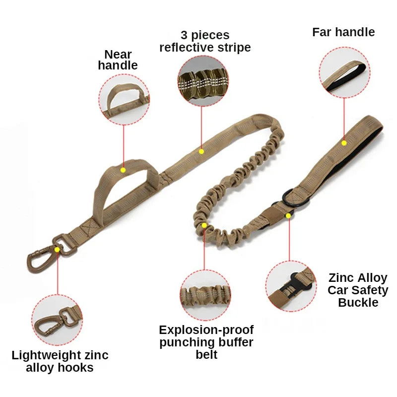 Durable Dog Collar and Leash