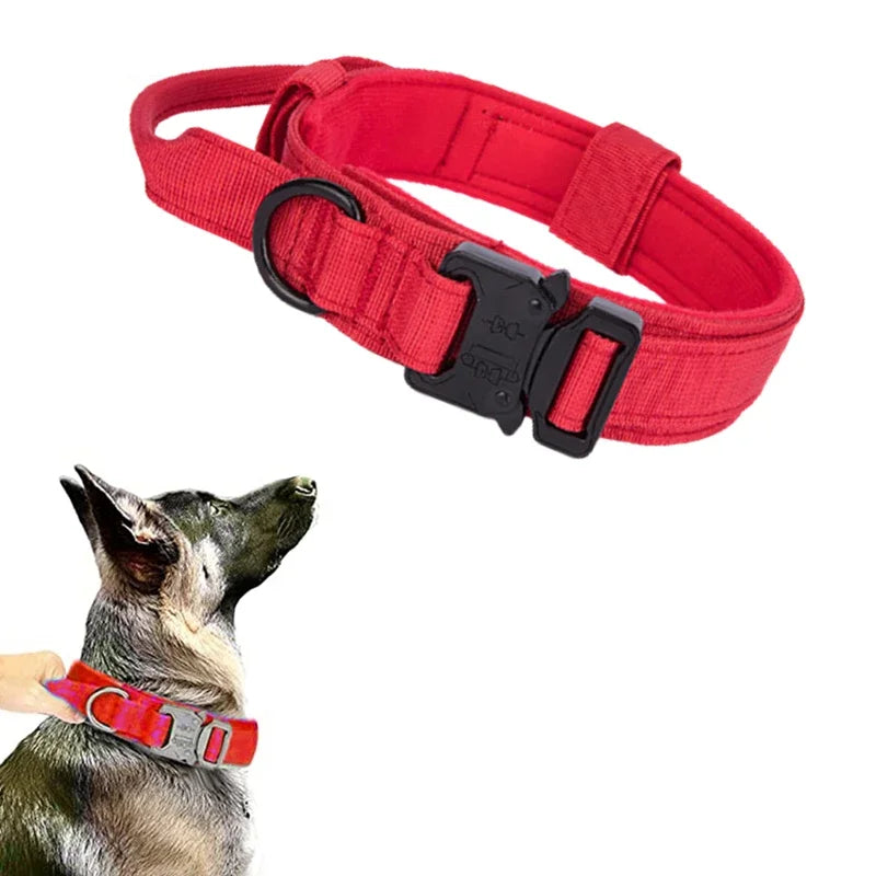 Durable Dog Collar and Leash