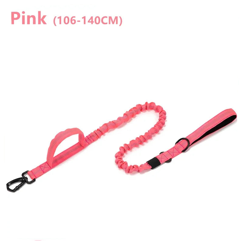 Durable Dog Collar and Leash