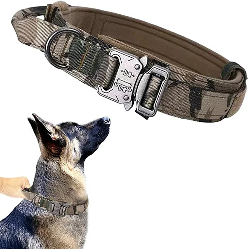 Durable Dog Collar and Leash