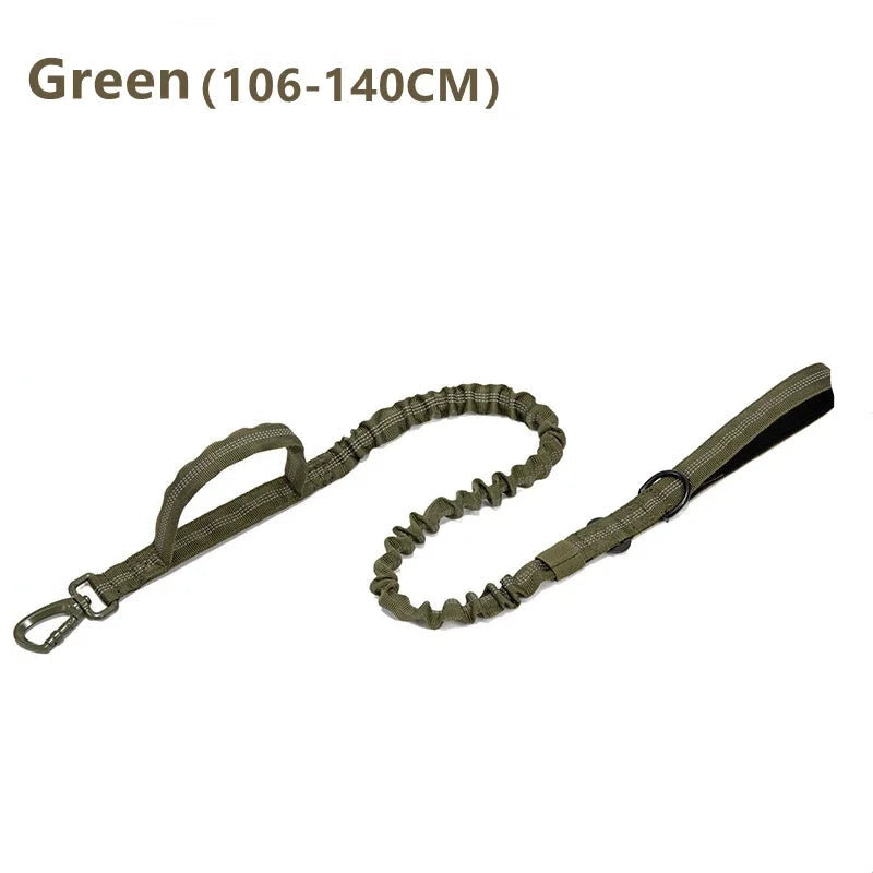 Durable Dog Collar and Leash