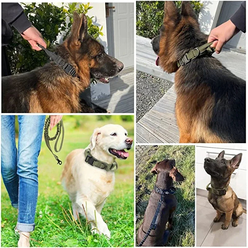 Durable Dog Collar and Leash