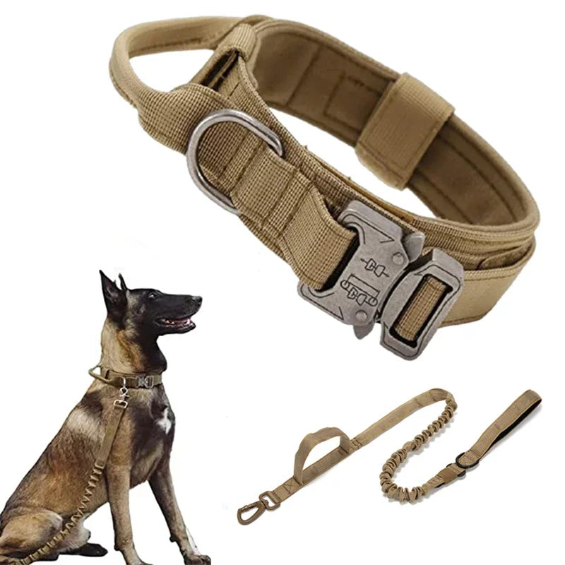 Durable Dog Collar and Leash
