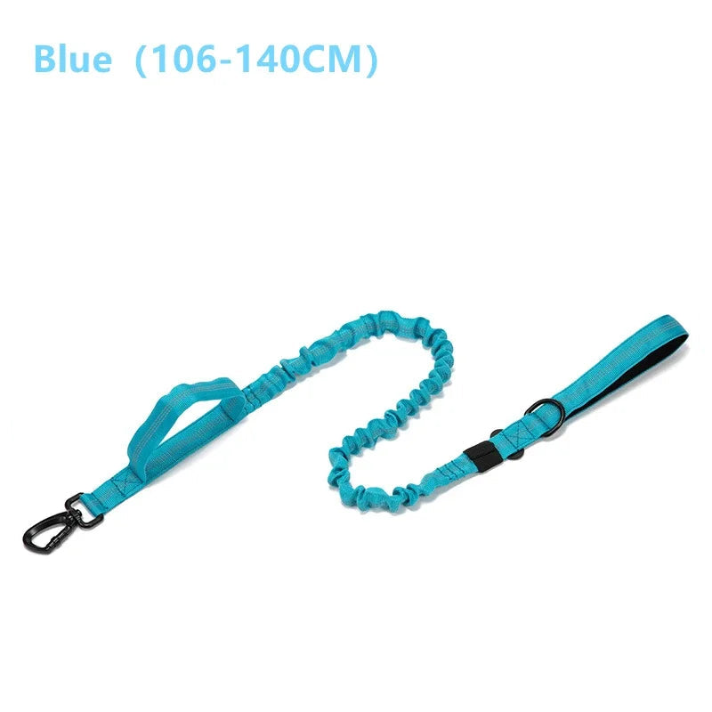 Durable Dog Collar and Leash