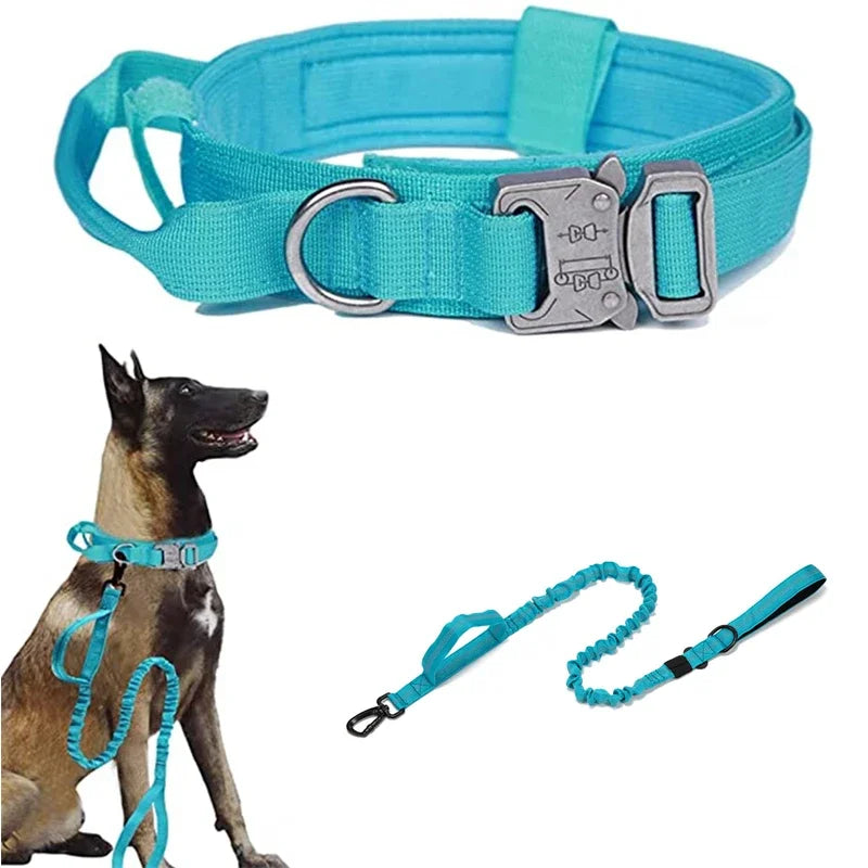 Durable Dog Collar and Leash