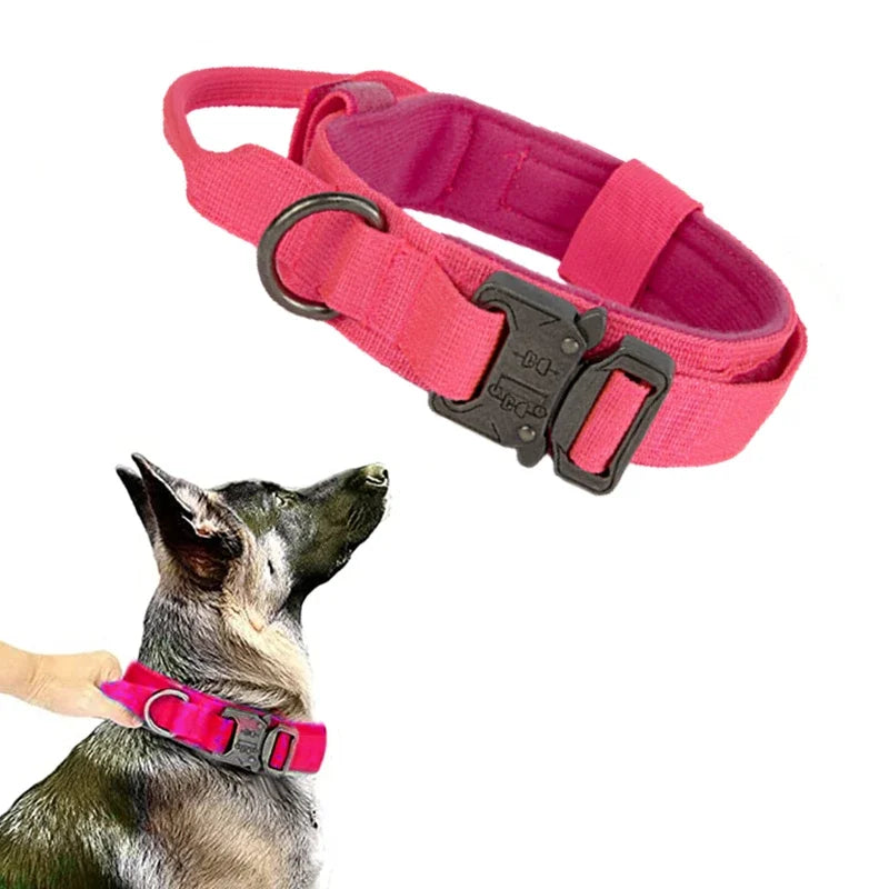 Durable Dog Collar and Leash