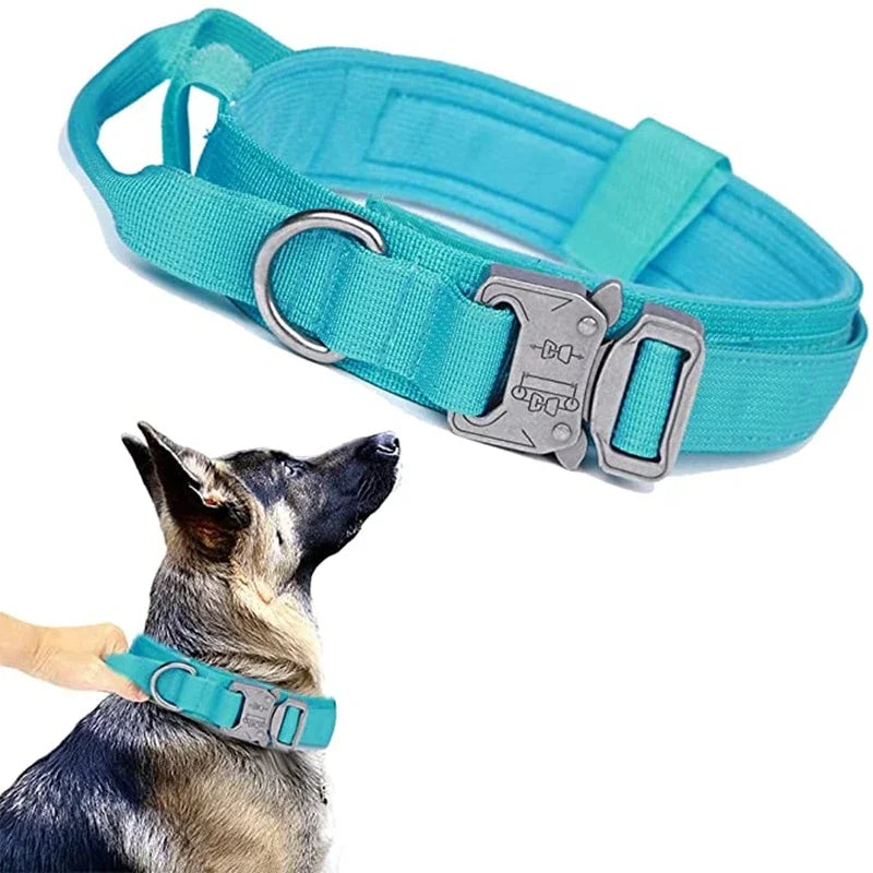 Durable Dog Collar and Leash