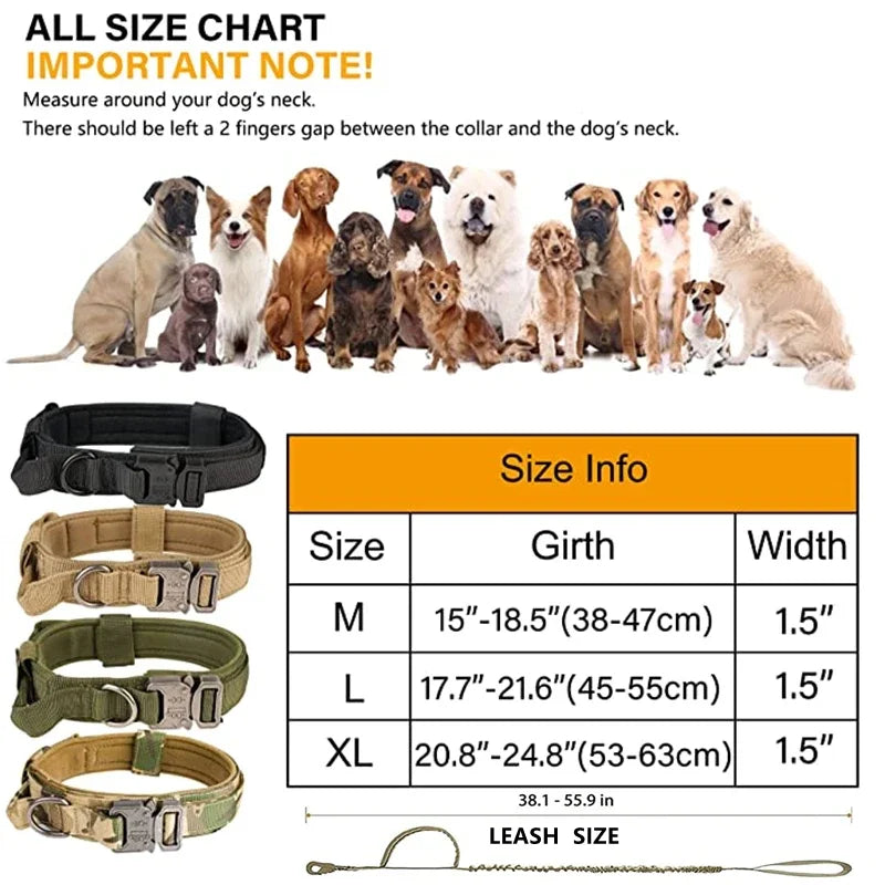 Durable Dog Collar and Leash