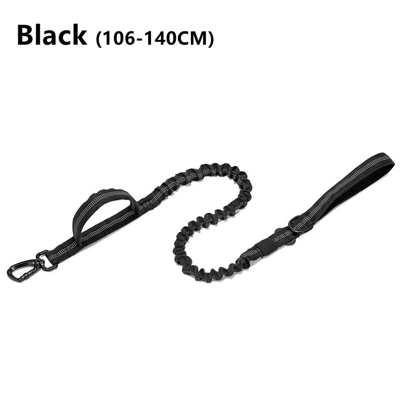 Durable Dog Collar and Leash