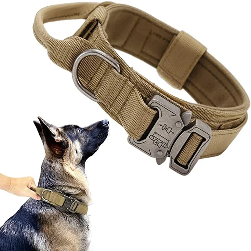 Durable Dog Collar and Leash