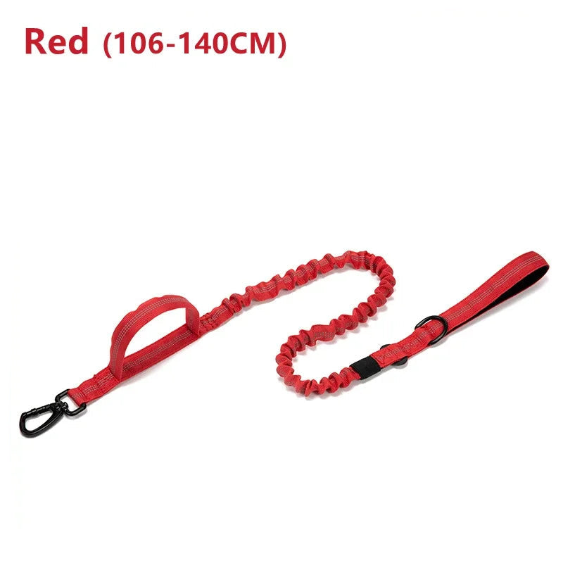 Durable Dog Collar and Leash