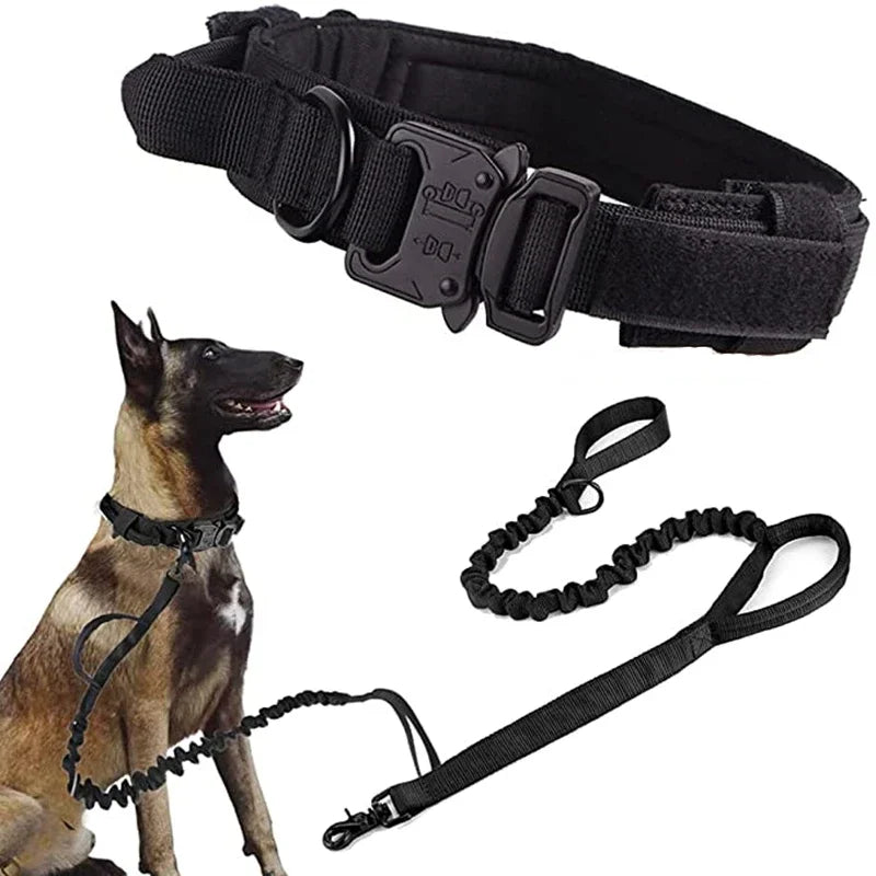 Durable Dog Collar and Leash