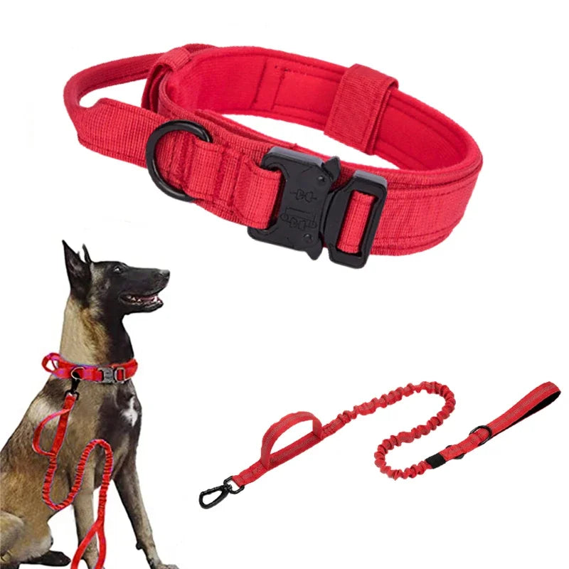 Durable Dog Collar and Leash