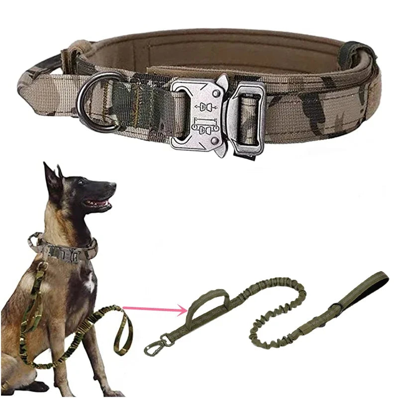 Durable Dog Collar and Leash