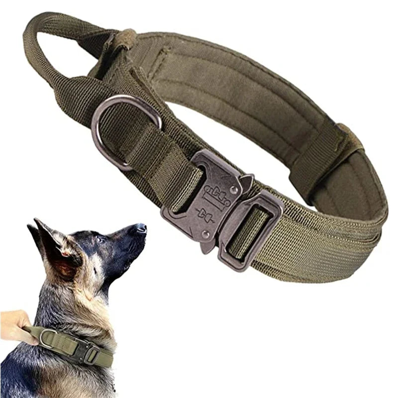 Durable Dog Collar and Leash