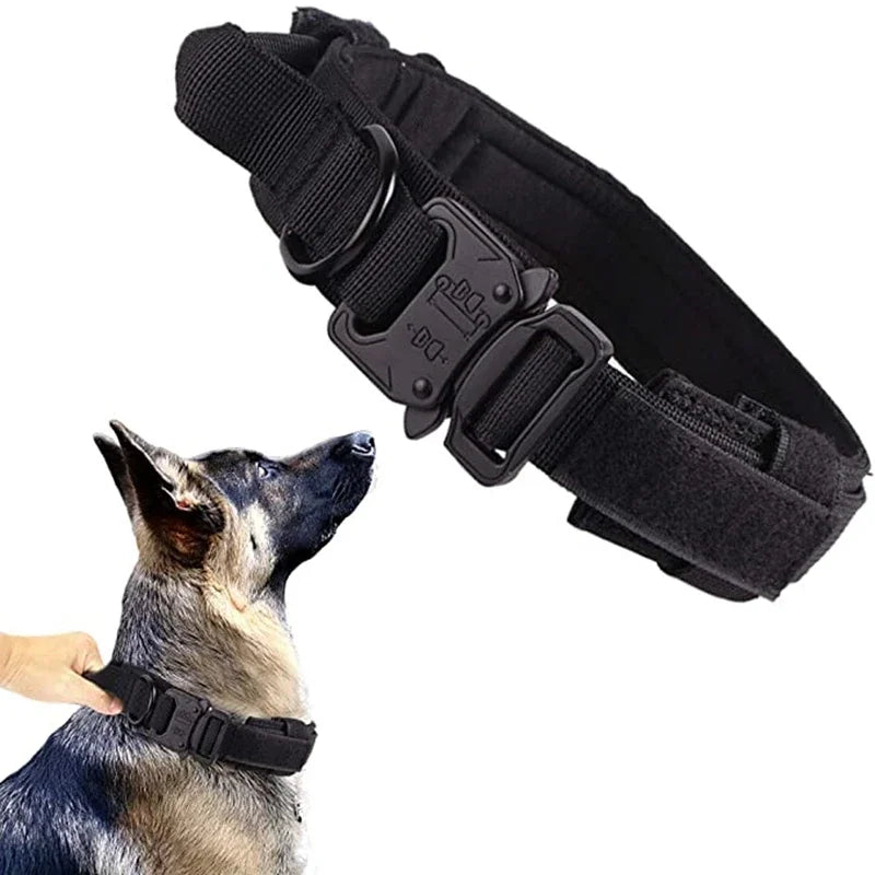 Durable Dog Collar and Leash
