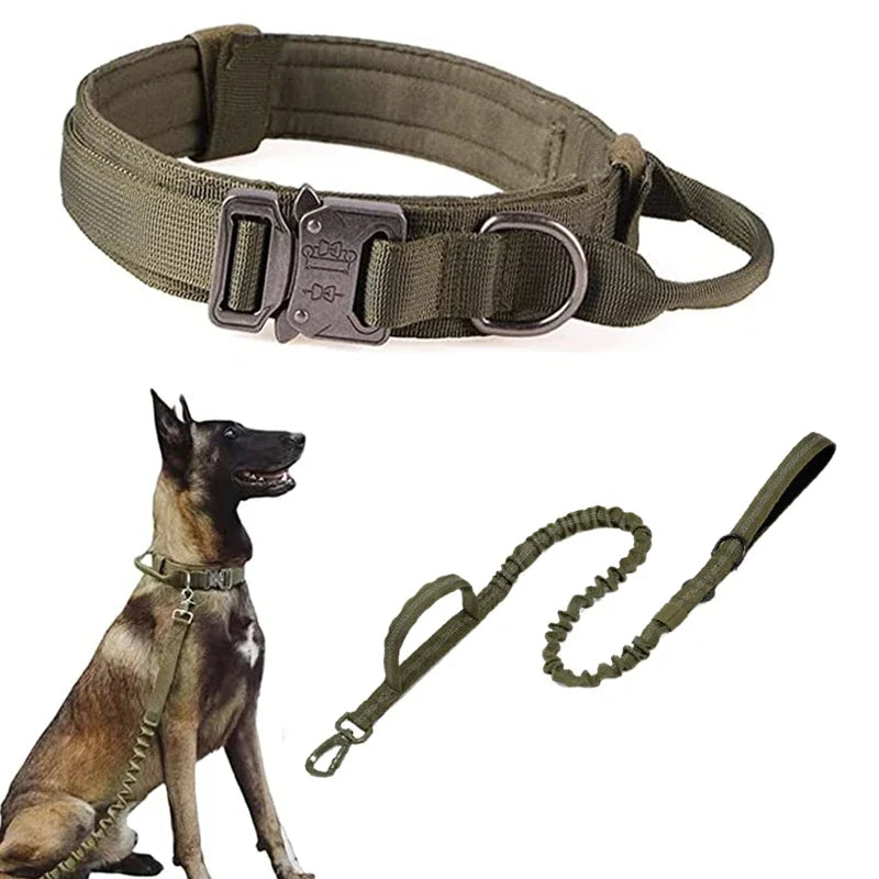 Durable Dog Collar and Leash