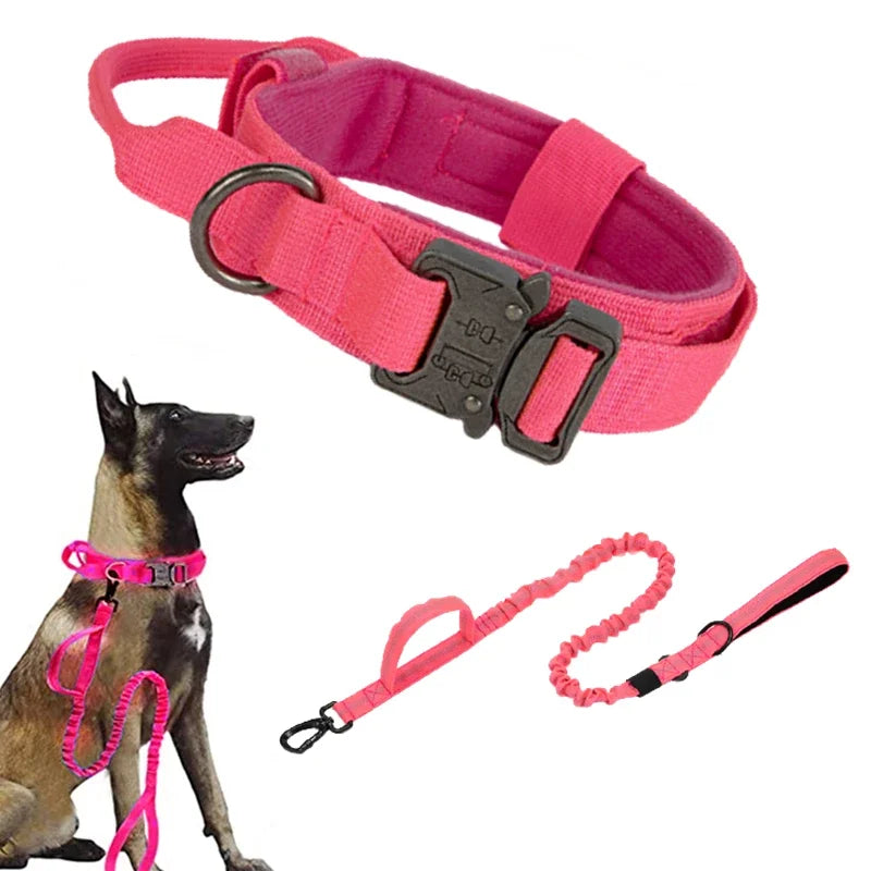 Durable Dog Collar and Leash