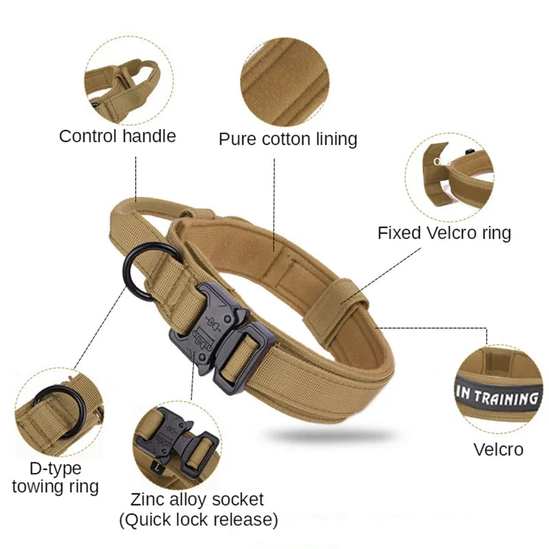 Durable Dog Collar and Leash